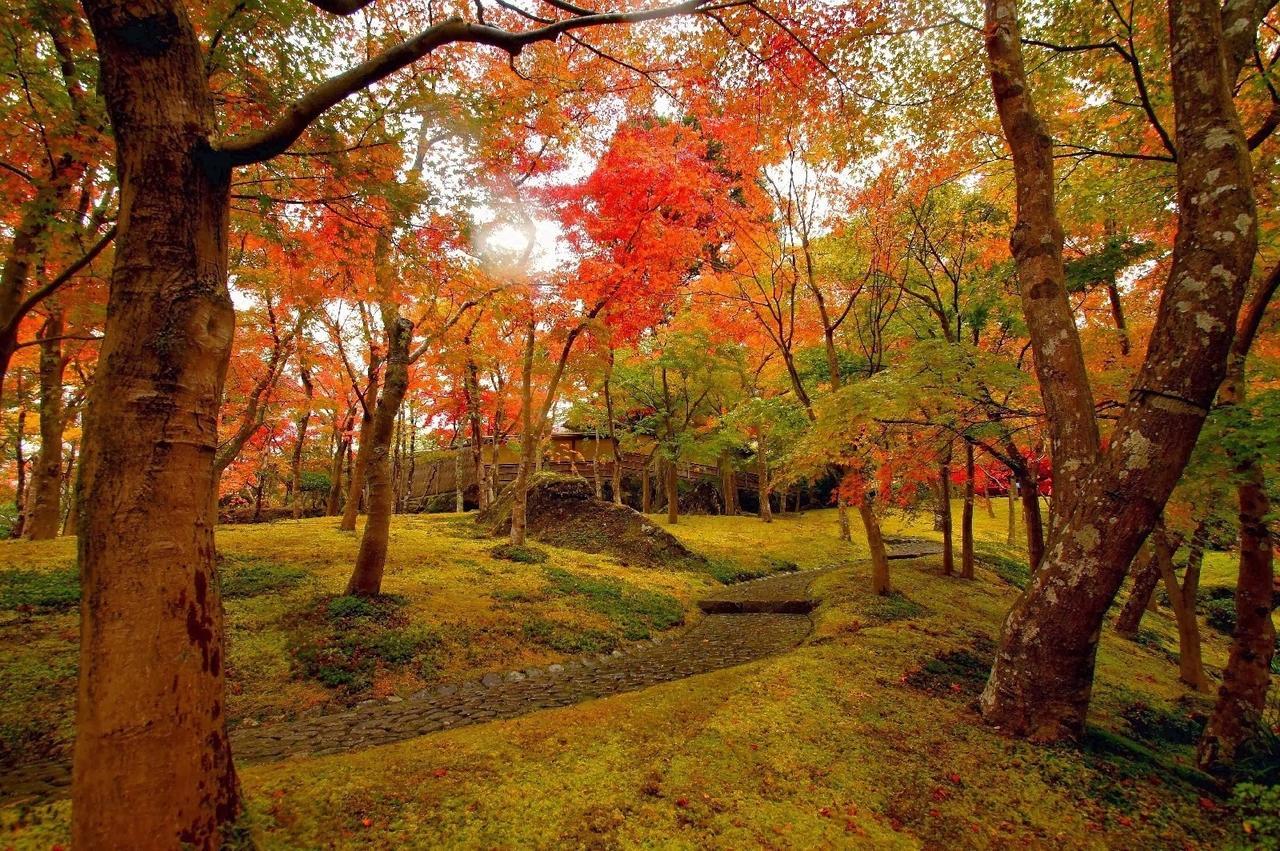 Jemsty Inn Hakone Ashinoko Ngoại thất bức ảnh